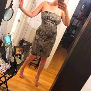 Sexy Animal Print Strapless Dress
